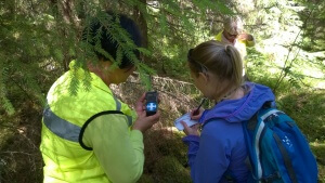 Kuva: Outi Vauhkonen