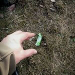 Suurin osa kerätystä jätteestä oli erilaisia karkkipapereita. Kuva Mika Virta.